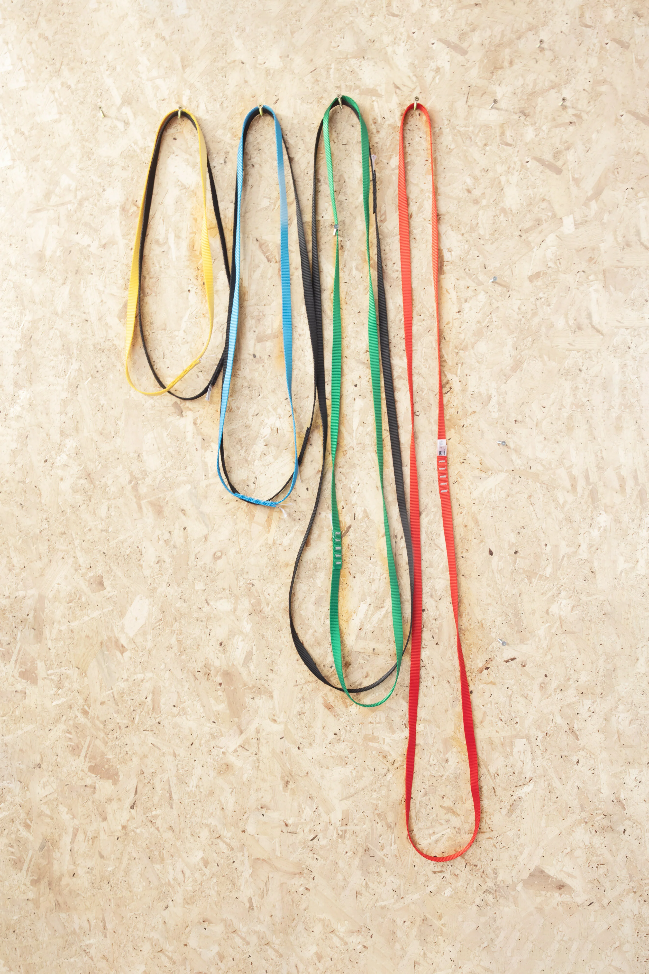 Petzl - Anneau Sling - Image 6