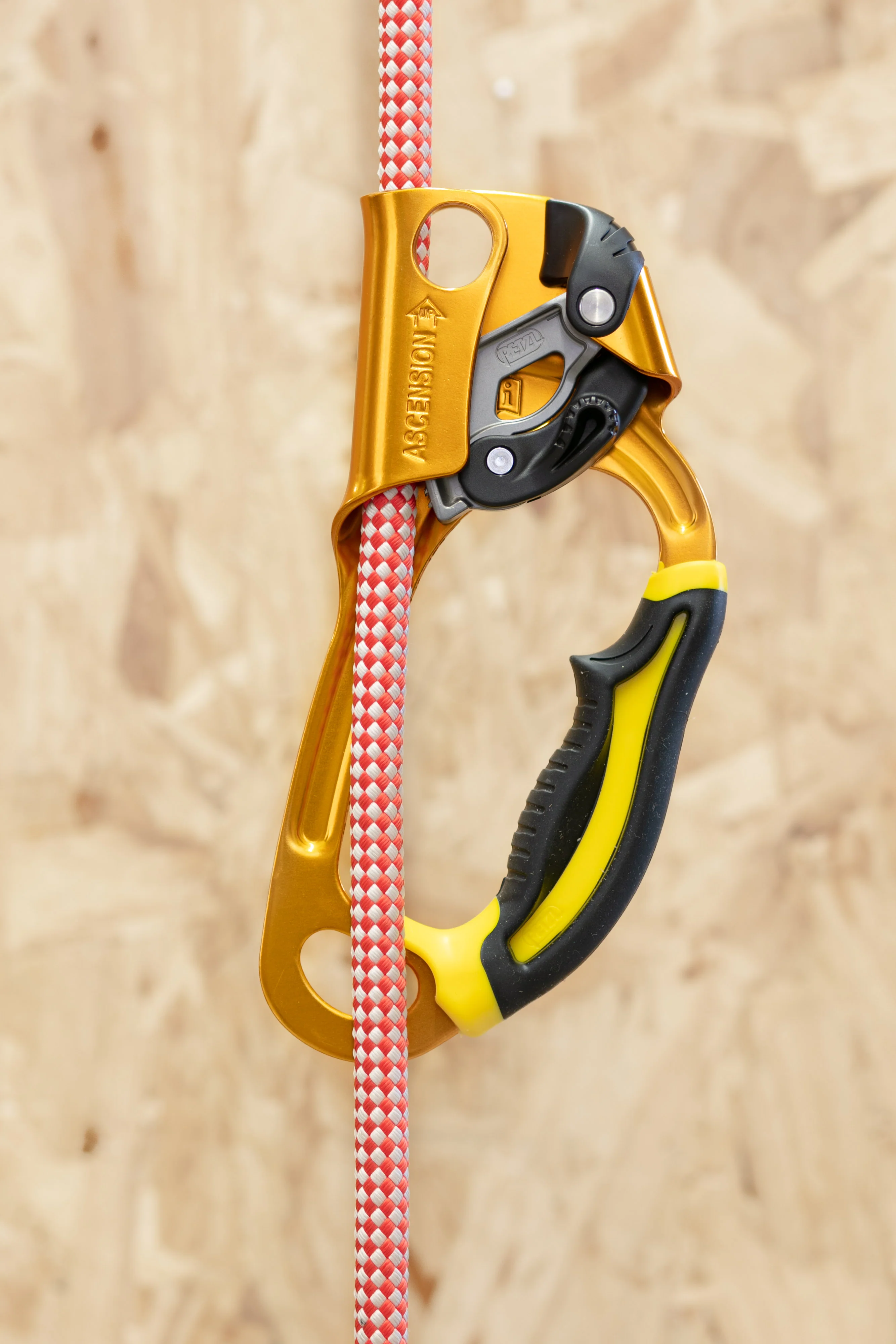 Petzl - Ascension - Image 3