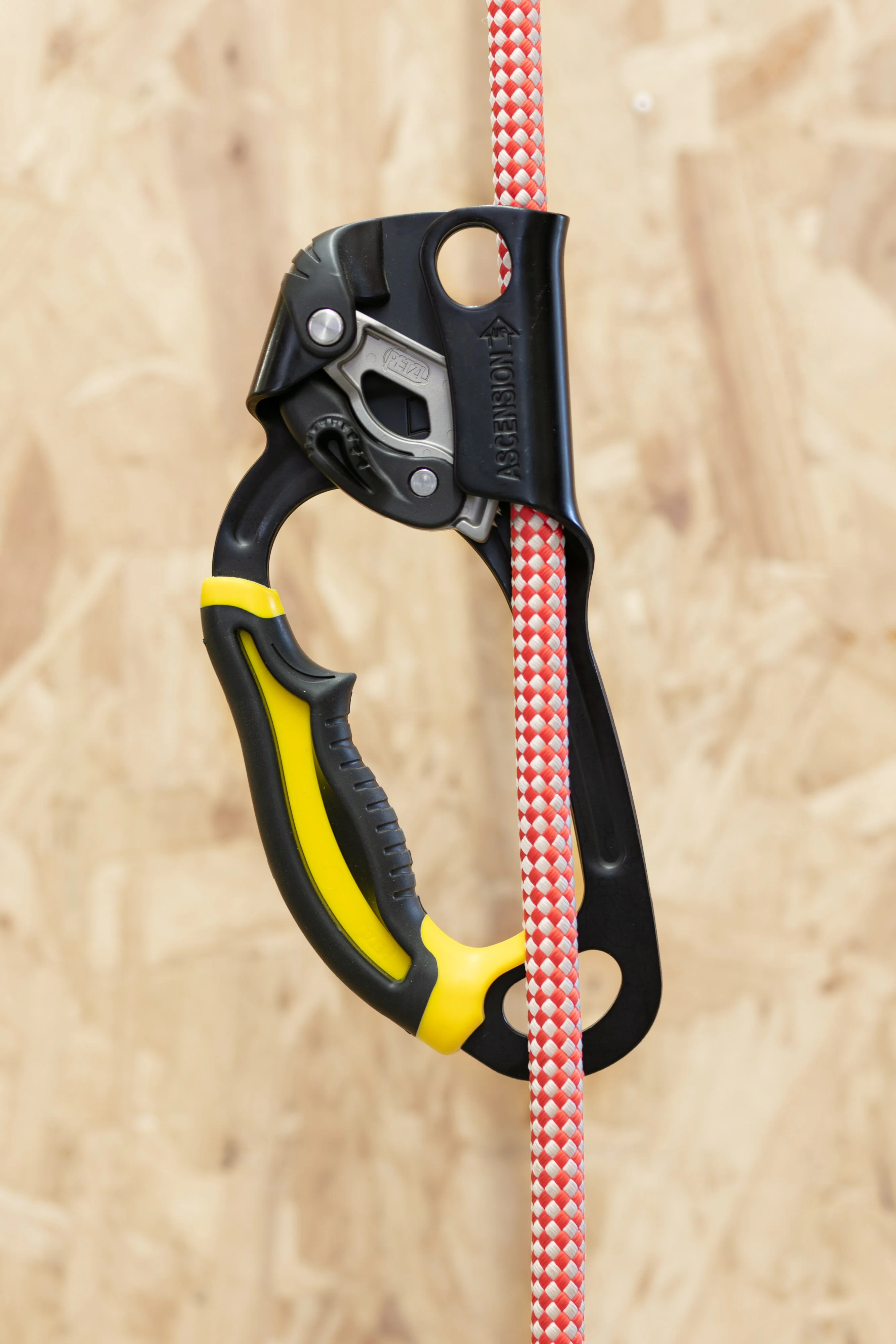 Petzl - Ascension - Image 4