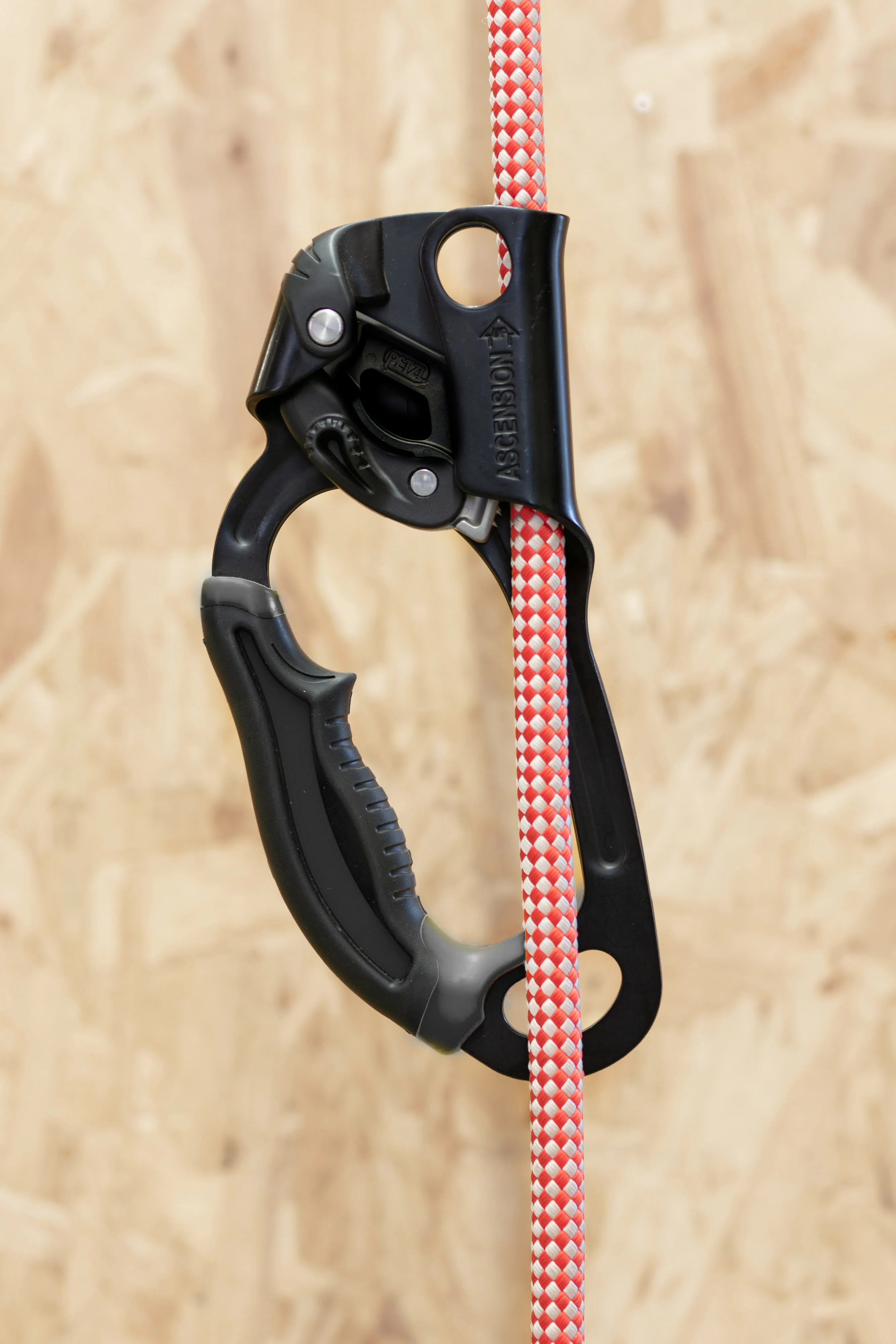 Petzl - Ascension - Image 5