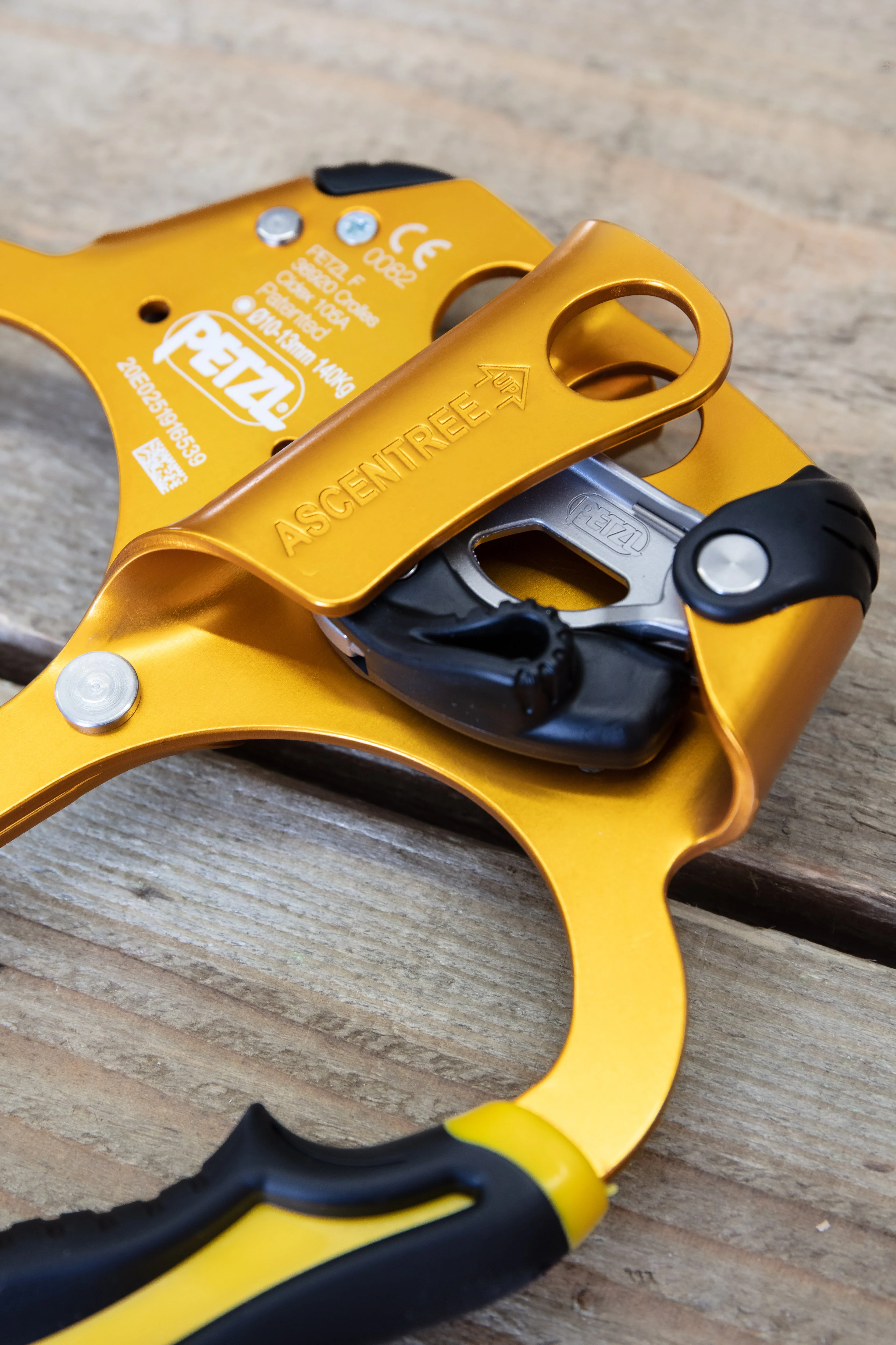 Petzl - Ascentree - Image 2