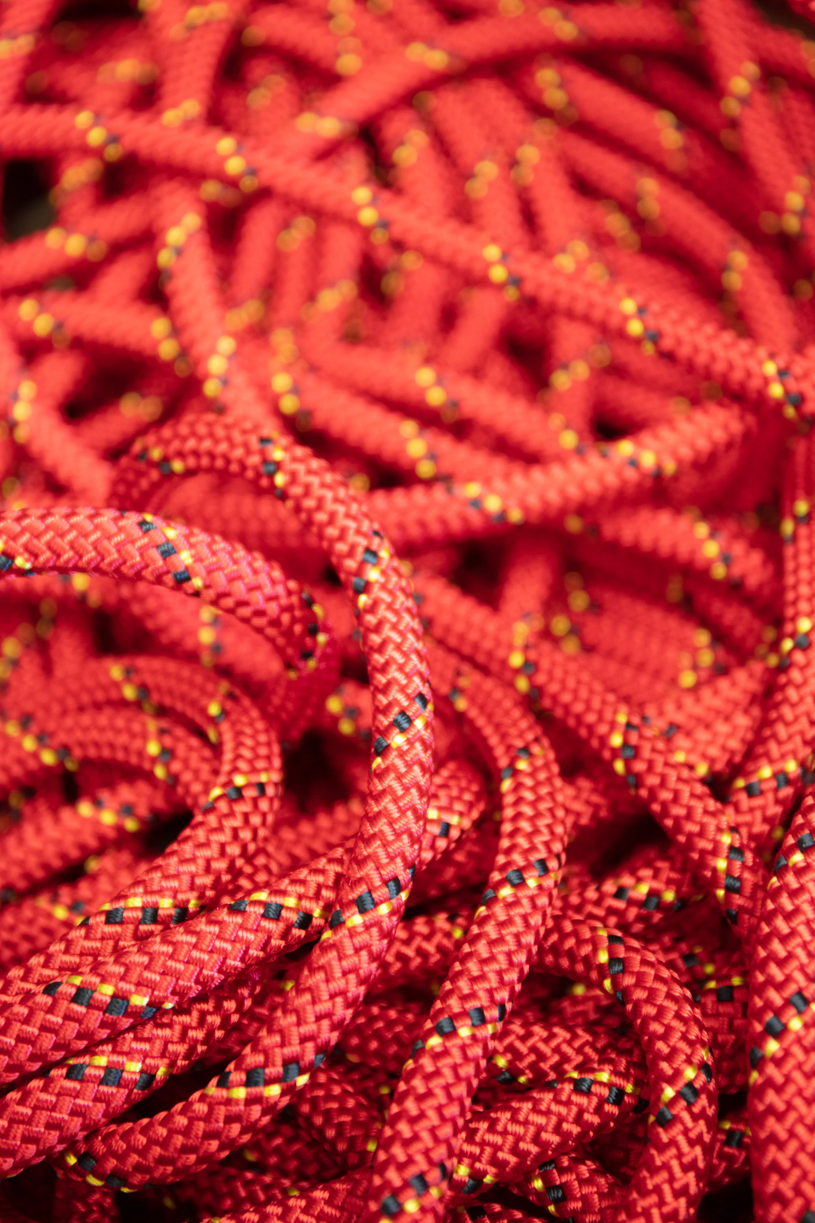Petzl - Parallel 10.5mm - Image 4
